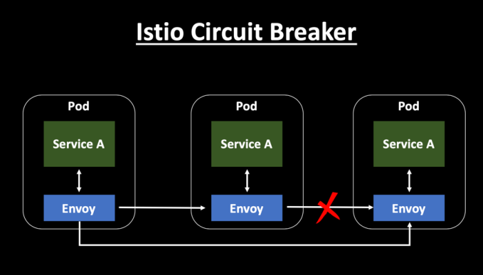 Istio Circuit Breaker